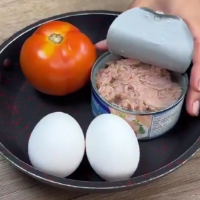 Gebakken tonijn uit blik (2)