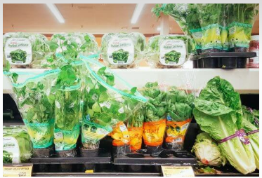 Supermarkt kruidenplantjes