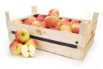 appels