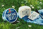 bresse bleu in het gras