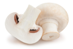 witte champignons