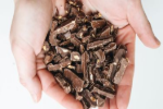 handen vol chocolade brokken