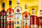 bacardi rum