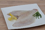 tarbot filet