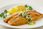 tilapia